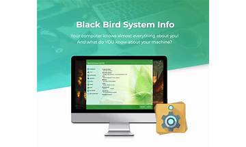 Black Bird System Info for Windows - Download it from Habererciyes for free